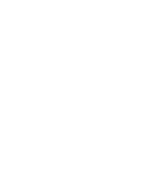 picto urgence dépannage toit